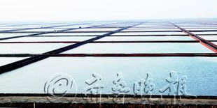 匯泰集團 以海水養(yǎng)殖技術(shù)研發(fā)引領(lǐng)環(huán)境友好型企業(yè)建設(shè)