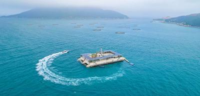 海洋牧場(chǎng) 以綠色養(yǎng)殖與技術(shù)研發(fā)驅(qū)動(dòng)海水養(yǎng)殖的未來(lái)