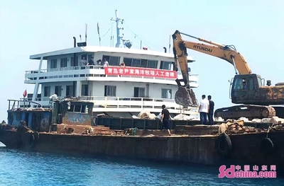 老尹家海參 國家級(jí)海洋牧場的“青島樣板”與海水養(yǎng)殖技術(shù)研發(fā)新篇章
